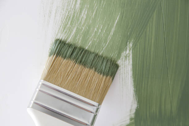 Cedar Bluff, AL Mold Removal Company