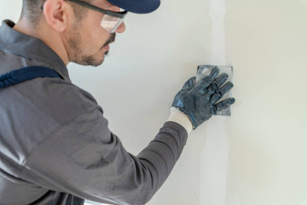 Best Environmental Consulting for Mold Prevention  in Cedar Bluff, AL
