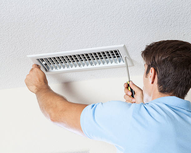 Best Mold-Related Health Consultation  in Cedar Bluff, AL
