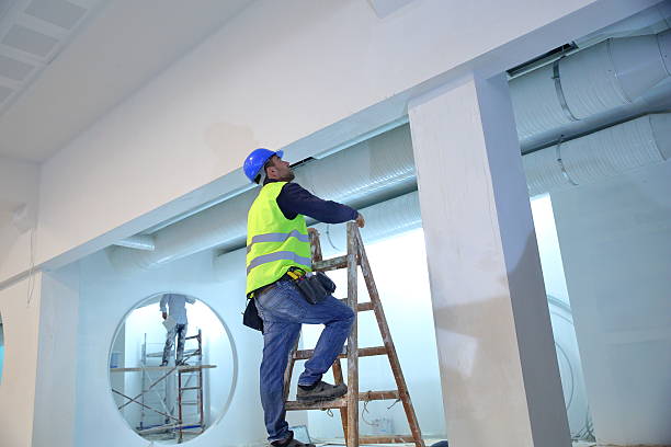 Best Real Estate Mold Inspection  in Cedar Bluff, AL